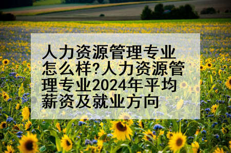 人力资源管理专业怎么样?人力资源管理专业2024年平均薪资及就业方向