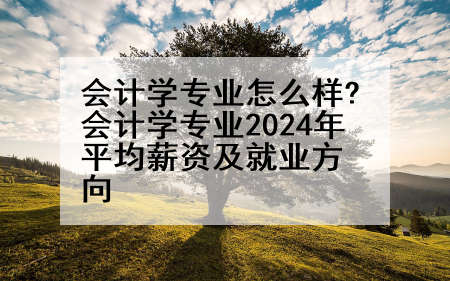 会计学专业怎么样?会计学专业2024年平均薪资及就业方向