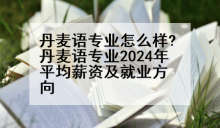 丹麦语专业怎么样?丹麦语专业2024年平均薪资及就业方向
