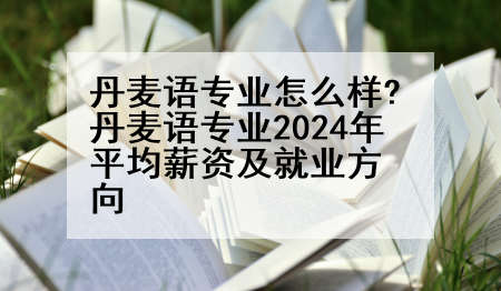 丹麦语专业怎么样?丹麦语专业2024年平均薪资及就业方向