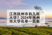 江西抚州市有几所大学？2024年抚州市大学名单一览表