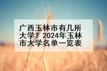 广西玉林市有几所大学？2024年玉林市大学名单一览表