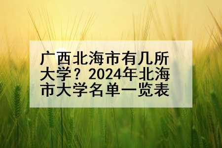 广西北海市有几所大学？2024年北海市大学名单一览表