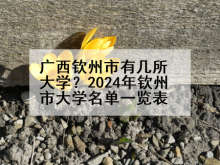 广西钦州市有几所大学？2024年钦州市大学名单一览表
