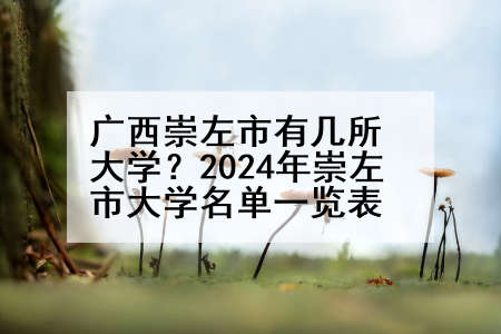 广西崇左市有几所大学？2024年崇左市大学名单一览表