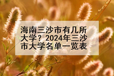 海南三沙市有几所大学？2024年三沙市大学名单一览表