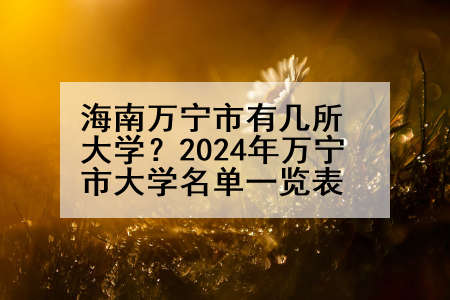 海南万宁市有几所大学？2024年万宁市大学名单一览表