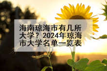 海南琼海市有几所大学？2024年琼海市大学名单一览表