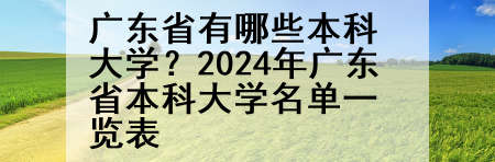广东省有哪些本科大学？2024年广东省本科大学名单一览表