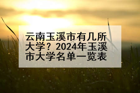 云南玉溪市有几所大学？2024年玉溪市大学名单一览表