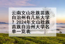 云南文山壮族苗族自治州有几所大学？2024年文山壮族苗族自治州大学名单一览表