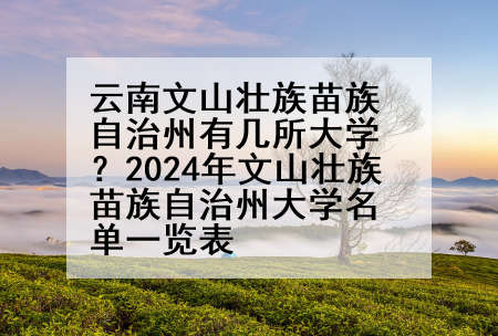 云南文山壮族苗族自治州有几所大学？2024年文山壮族苗族自治州大学名单一览表