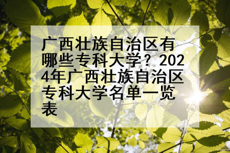 广西壮族自治区有哪些专科大学？2024年广西壮族自治区专科大学名单一览表