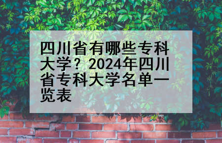 四川省有哪些专科大学？2024年四川省专科大学名单一览表