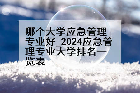 哪个大学应急管理专业好_2024应急管理专业大学排名一览表