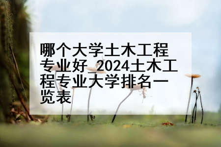 哪个大学土木工程专业好_2024土木工程专业大学排名一览表