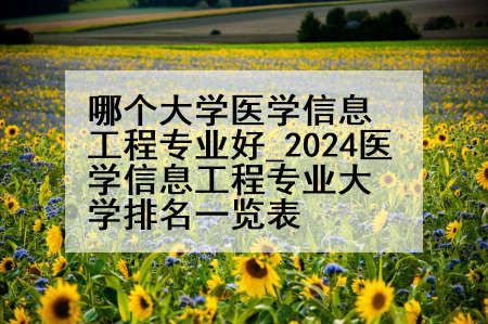 哪个大学医学信息工程专业好_2024医学信息工程专业大学排名一览表