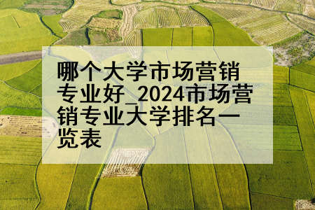 哪个大学市场营销专业好_2024市场营销专业大学排名一览表