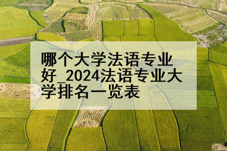 哪个大学法语专业好_2024法语专业大学排名一览表