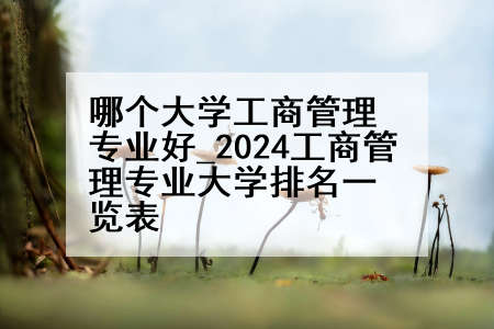 哪个大学工商管理专业好_2024工商管理专业大学排名一览表