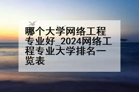 哪个大学网络工程专业好_2024网络工程专业大学排名一览表