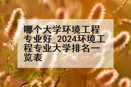 哪个大学环境工程专业好_2024环境工程专业大学排名一览表