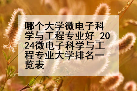 哪个大学微电子科学与工程专业好_2024微电子科学与工程专业大学排名一览表