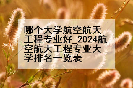 哪个大学航空航天工程专业好_2024航空航天工程专业大学排名一览表