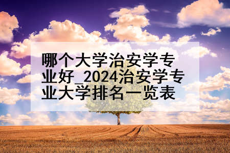 哪个大学治安学专业好_2024治安学专业大学排名一览表