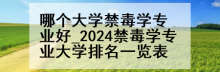 哪个大学禁毒学专业好_2024禁毒学专业大学排名一览表