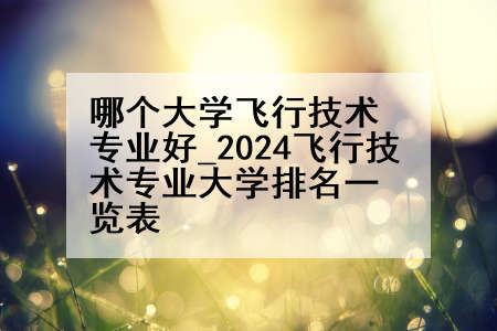 哪个大学飞行技术专业好_2024飞行技术专业大学排名一览表