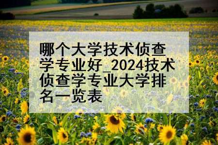哪个大学技术侦查学专业好_2024技术侦查学专业大学排名一览表