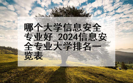 哪个大学信息安全专业好_2024信息安全专业大学排名一览表