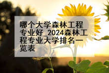 哪个大学森林工程专业好_2024森林工程专业大学排名一览表