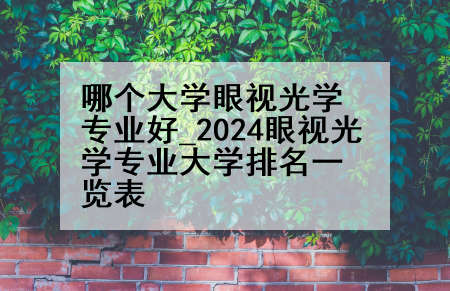 哪个大学眼视光学专业好_2024眼视光学专业大学排名一览表