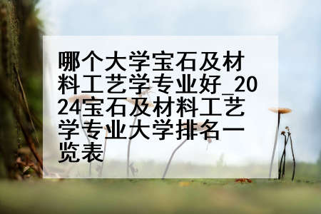 哪个大学宝石及材料工艺学专业好_2024宝石及材料工艺学专业大学排名一览表