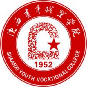 陕西青年职业学院2024年各省计划招生人数信息汇总